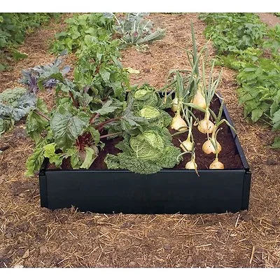 Garland Plastic Raised Bed Garden Planter 1m X 1m | Vegetables Herbs & Flowers • £49.99