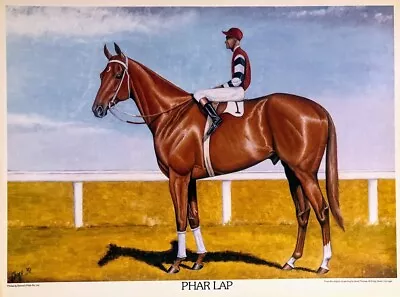 Beautiful Old Phar Lap Print • $55