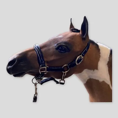 Miniature Horse / Mini Shetland Black Leather Headcollar • £22