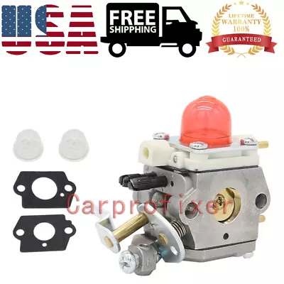 Carburetor Kit For Poulan Craftsman Hedge Trimmer Walbro WT-221 WT-379 530069682 • $22.49