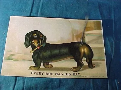 1911 DACHSHUND DOG Illustrated POSTCARD W SPRING TAIL • $9.95