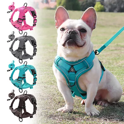 Reflective No Pull Cat Dog Harness & Leash Set Front Clip Soft Mesh Padded Vest • $17.26