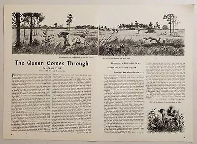 1947 Magazine Pictures Bird Hunters & Dogs Illustrated Fred F. McCaleb • $10.38