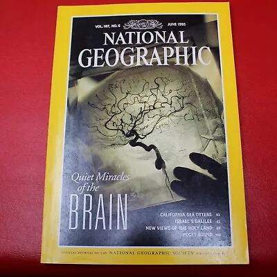 National Geographic June 1995 Quiet Miracles Of The Brain • $7.50