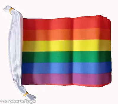 Rainbow Flag Bunting 3 Metres 10 Flags Gay Pride • £7.99