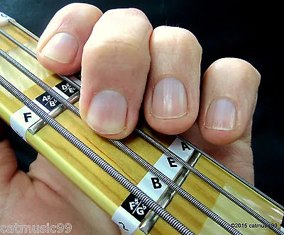 £4.95 • Buy Bass Guitar Fretboard Note Labels Fret Stickers + Online Lessons & Learning Aids