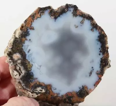 Los Choyas Coconut 6.7 Oz. Geode (Agate) End Cut Rough • $2.99