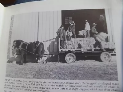 Farm Horses Carts Ploughing Heavy Shire Horses Breeds Life History Equipment Vgc • £10