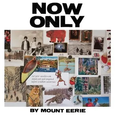 Mount Eerie Now Only Vinyl LP Record & MP3! A Crow Looked At Me Follow Up! NEW!! • $23.49