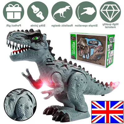 Remote Control Dinosaur Toy Walking Roaring Spray T-Rex For Kids Birthday Gift • £12.89