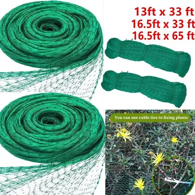 66FT Anti Bird Netting Pond Net Protection Tree Crops Plants Fruits Garden Mesh • $10.79