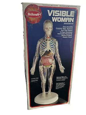 Skilcraft Visible Woman Anatomy  Model Kit Original Box 15” Tall Never Assembled • $29.99