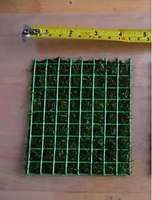 £3.20 • Buy WIRE MESH 25x10cm For Riccia Fluitan Java Moss Live Aquarium Plant Weight Carpet