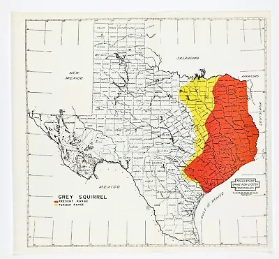 1945 Texas Map ORIGINAL Grey Squirrel Range Game & Fish Commission • $28.88