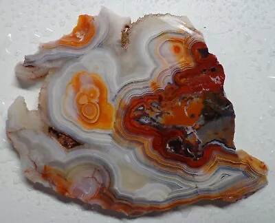 WRG- Mexican Crazy Lace Agate Slab 49 Grams Mexico Lapidary Plume Moss • $12.99