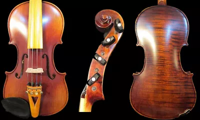 Strad Style SONG Brand Maestro 4x4 Strings 4/4 Violinviola D'Amore #14989 • $599