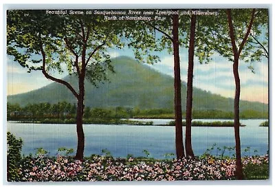 C1940 Susquehanna River Liverpool Millersburg Harrison Pennsylvania PA Postcard • $9.72