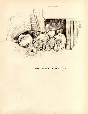 Funny Vintage Original Dog Print 1942 K.F. Barker 'the Sleep Of The Just' • £7.75