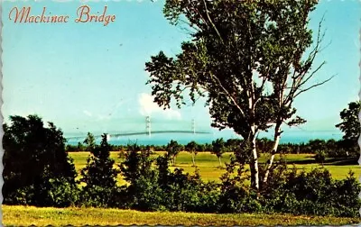Vintage Mackinac Bridge Michigan Suspension Bridge Great Lakes Postcard • $4