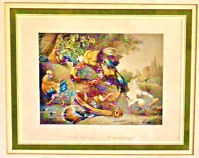 ''Cockfighting''  Engraving Print By A.Krause After Painting By D' Hondecoeter • £177.41