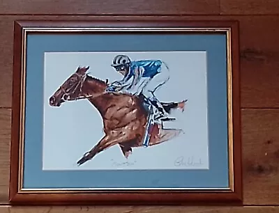 Original Watercolour Painting Of Tye Racehorse Montjeu By Chris Winch • £15