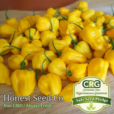 HOT Lemon Habanero Pepper Seeds | Non-GMO Garden Seeds From USA Free Shipping • $3.98