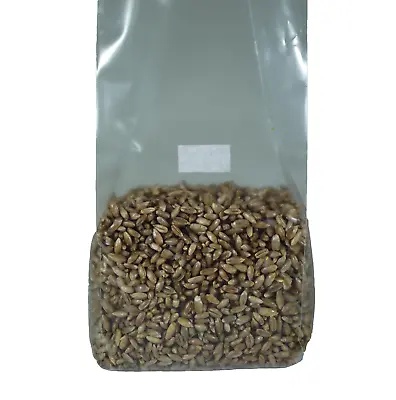 Sterilized Rye Berry Mushroom Substrate • $12.95