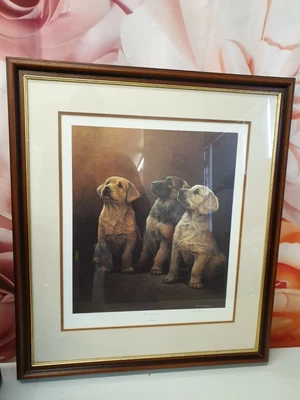 £160 • Buy Authenticated Signed And Framed Nigel Hemming GUIDING LIGHTS - Labrador,...