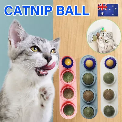 Cat Toy Catnip Ball Lick Solid Nutrition Help Digestion Wall Mount Hair Remover • $13.12