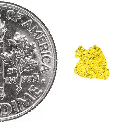0.2375 Gram Alaska Natural Gold Nugget  ---  (#77397) - Alaskan Gold Nugget • $15