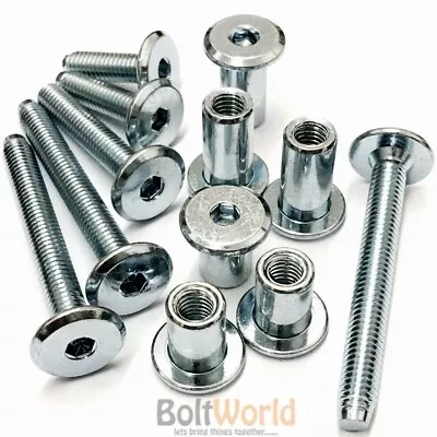 M6 Furniture Joint Connector Bolt & Cap Nut - M4 Allen Key Head - Shop Fittings • £56.84