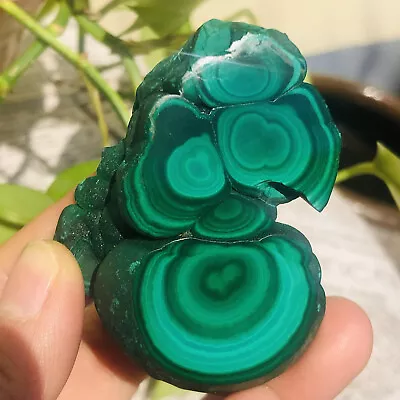 Natural Malachite Mineral Specimen Quartz Crystal Reiki Healing/130G • $3.52