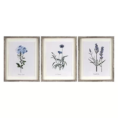 (Set Of 3) 16 X20  Framed Vintage Botanicals Decorative Wall Art - Threshold • $29.99