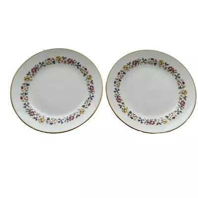 Richard Ginori Fine Italian China Sorrento 6 1/4  Bread / Dessert Plate Set Of 2 • $23