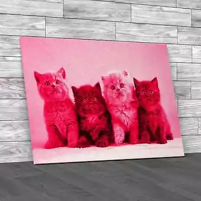 Say No To These Kittens Pink Canvas Print Large Picture Wall Art • £27.95