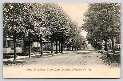 Kendallville Indiana~State St Looking South From Mitchell~Nice Homes~c1907 • $7
