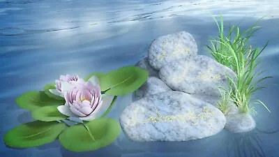 Japan Zen Stones Lotus Lily Flower Canvas Picture Poster Print Unframed 6683 • £17.91