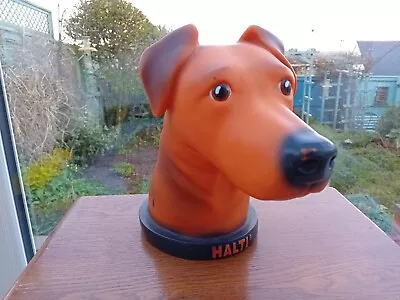 Halti Dogs Head Display Bust • £40