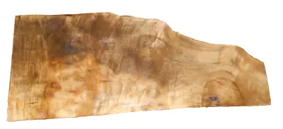 MYRTLEWOOD BURL SLAB LIVE EDGE TURNING CRAFT WOODWORKING APPROX 23x9x.75 IN • $23.50