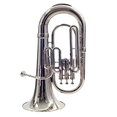 New Brass Bb 3 Valve Euphonium Nickel Plated With Hard Case+Mouthpiece By Zaima • $325