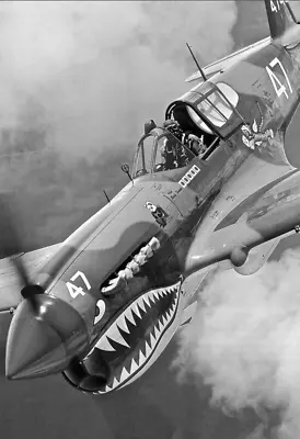 WW2 WWII Photo P-40 Warhawk Flying Tigers AVG  USAAF World War Two / 5461 • $6.49