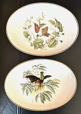 2 Mottahedeh Bird Of Paradise Coimbra Portugal Emperor Germany & King Dish 6.5  • $28