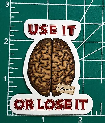 Use It OR Lose It Your Brain - Vinyl Decal Sticker Bomb Topper Skateboard • $3.99