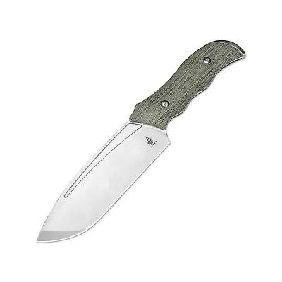 Kizer Metaproptizol Fixed Blade Knife D2 Steel Green Micarta Handle 1054A1 • $79
