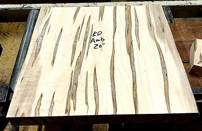 Kiln Dried Curly Ambrosia Maple Platter Blank Lathe Turning Wood 20  X 20  X 2  • $109.95