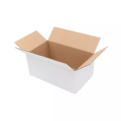 50x Mailing Box 240 X 140 X 140mm Regular Shipping Carton For 3KG Satchel Bag • $36