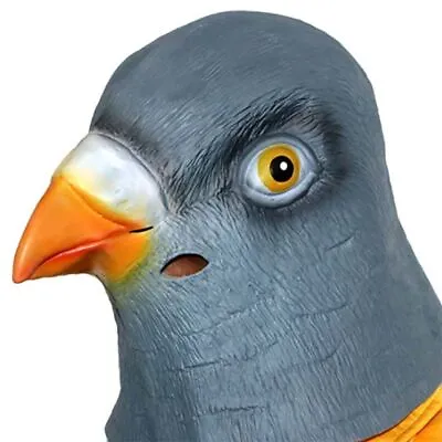 Pigeon Head Mask Creepy Animal Halloween Costume Theater Prop Latex Party Toy AU • $22.34