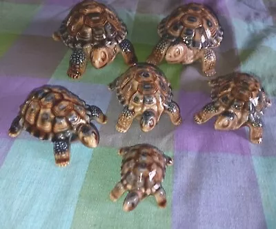 Set Of 6 Wade Tortoises Various Sizes • £10