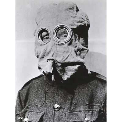 War WWI UK Gas Mask Types Chart Certificate Photo Canvas Wall Art Print Poster • $25.84