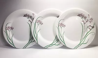 Martha Stewart Pacific Wildflower Break Resistant Glass Dinner Plate Set Of 3 • $5